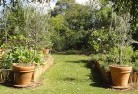 Rosannavegetable-gardens-3.jpg; ?>